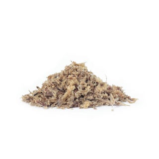 Apetizer z przełyku wołowego Dog Lovers 100 g