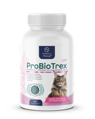 Hippovet Pharmacy ProBioTrex Cat – probiotyk i postbiotyk dla kotów