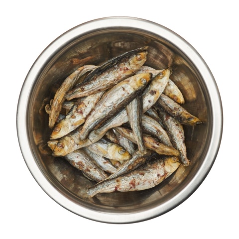 Liofilizowane szproty Best Barf