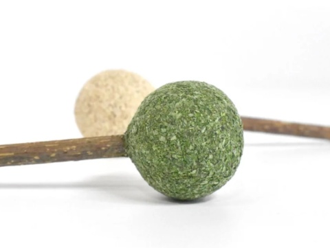 Lizak z kocimiętką Cat Want