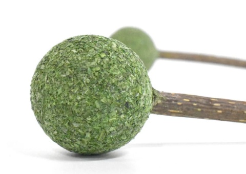 Lizak z kocimiętką Cat Want