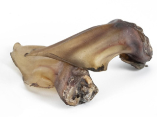Ucho sarny Dog Lovers 2 szt