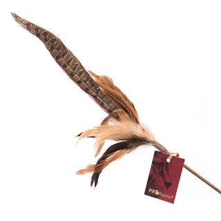 Profeline wędka dla kota z piórem bażanta