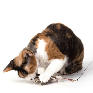 Profeline zawieszka La Cucaracha (karaluch) z jeleniej sierści i trzciny