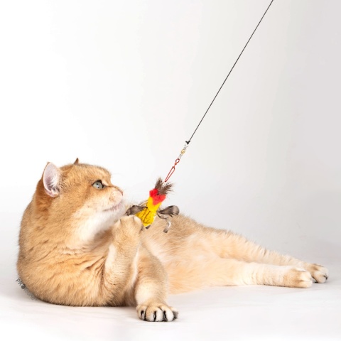 Profeline zawieszka kolorowe robaki 2 szt