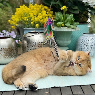 Profeline zawieszka kolorowy motyl