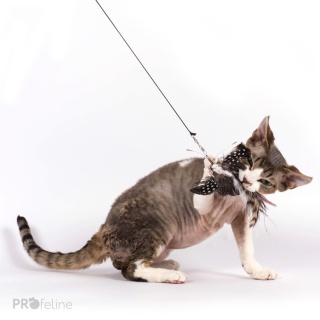 Profeline zawieszka motyl z naturalnych piór