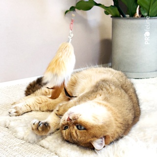 Profeline zawieszka puszysta końcówka z króliczego futra i piór