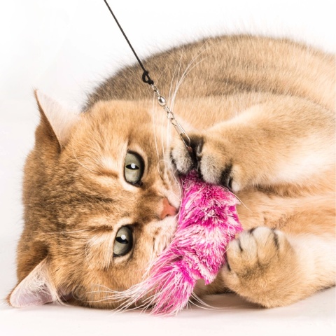 Profeline zawieszka różowa krewetka z sierści jelenia