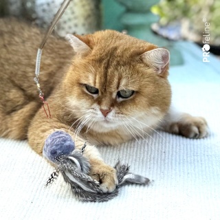 Profeline zawieszka wełniana kulka z króliczym futrem i piórkami