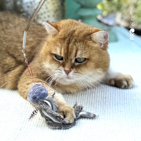 Profeline zawieszka wełniana kulka z króliczym futrem i piórkami